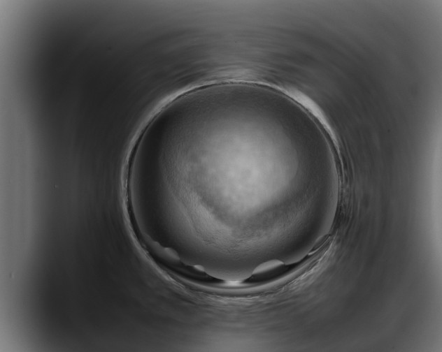 X0000088371389200705291319