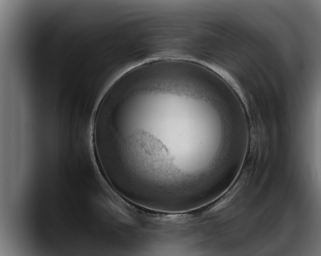 X0000088371390200705291319