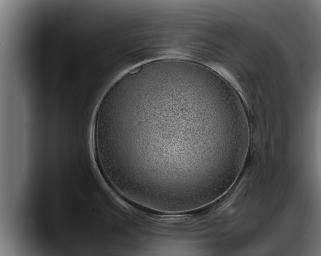 X0000088371391200705291319