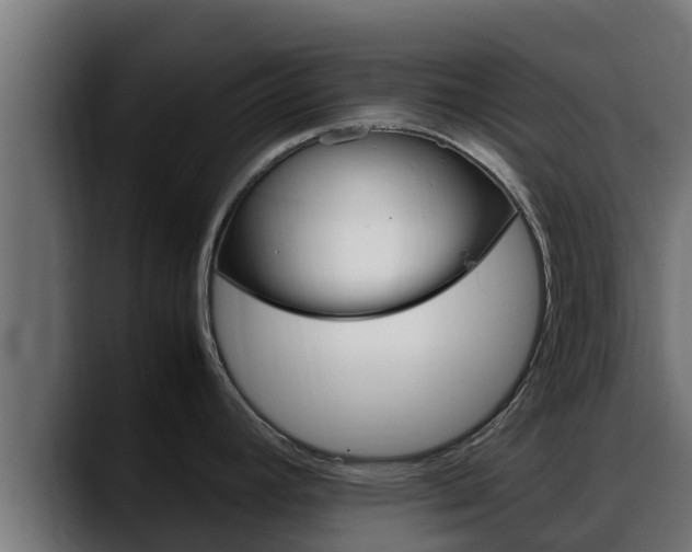 X0000088371392200705291318