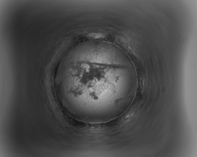 X0000088371393200705291318