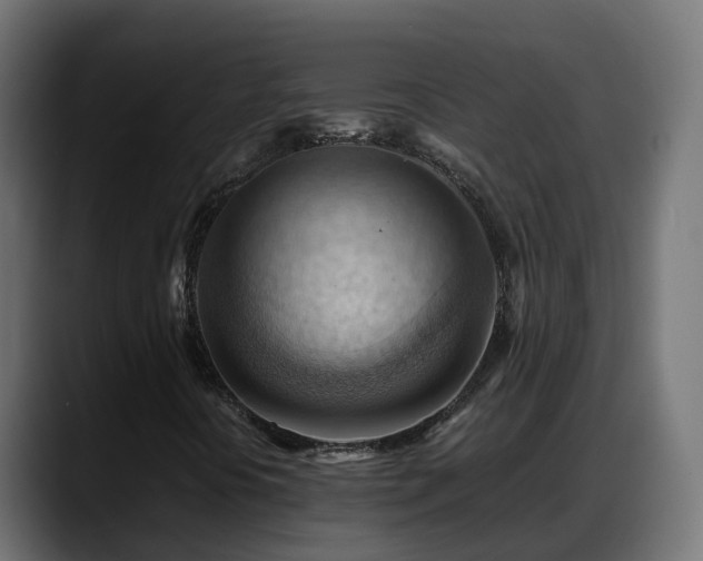 X0000088371394200705291318