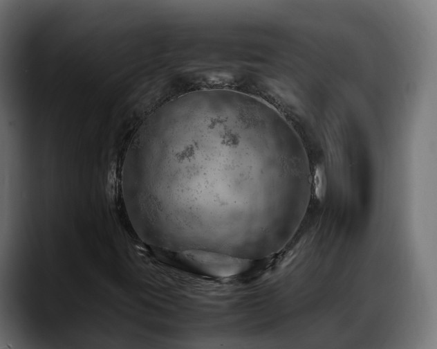 X0000088371395200705291318