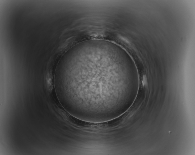 X0000088371396200705291318