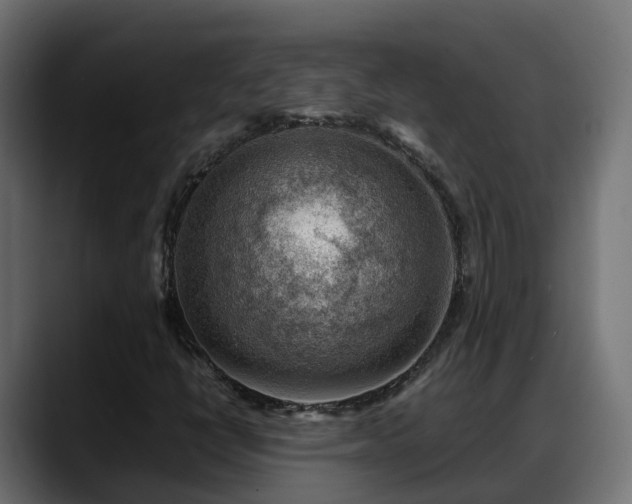 X0000088371398200705291318