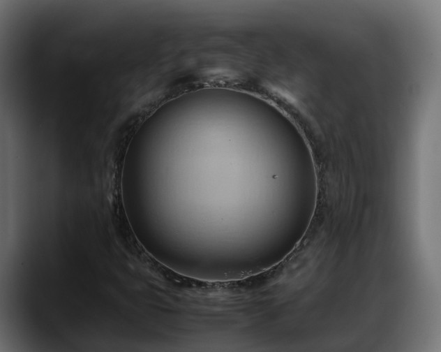 X0000088371399200705291318
