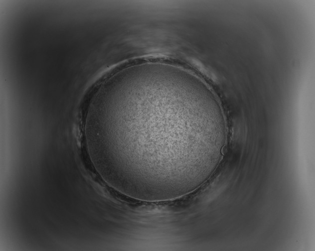 X0000088371400200705291318