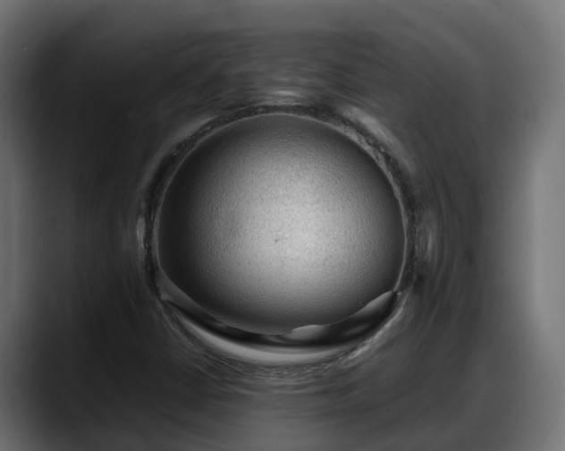X0000088371402200705291318