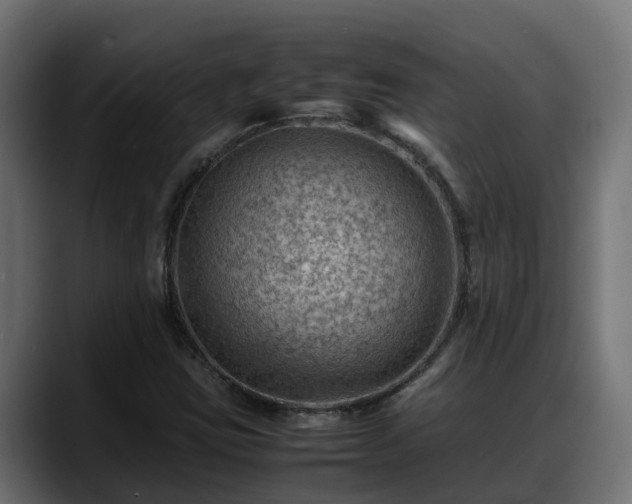 X0000088371403200705291318