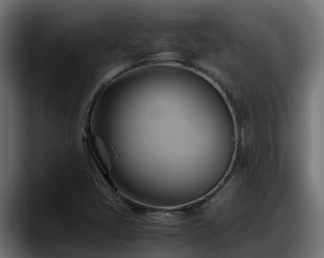 X0000088371405200705291318