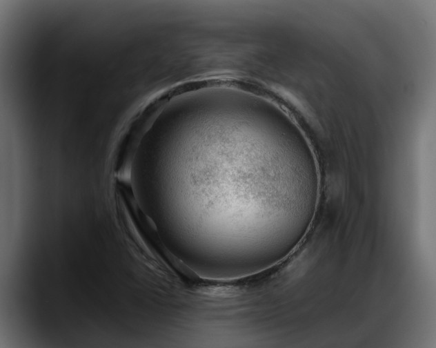 X0000088371406200705291318