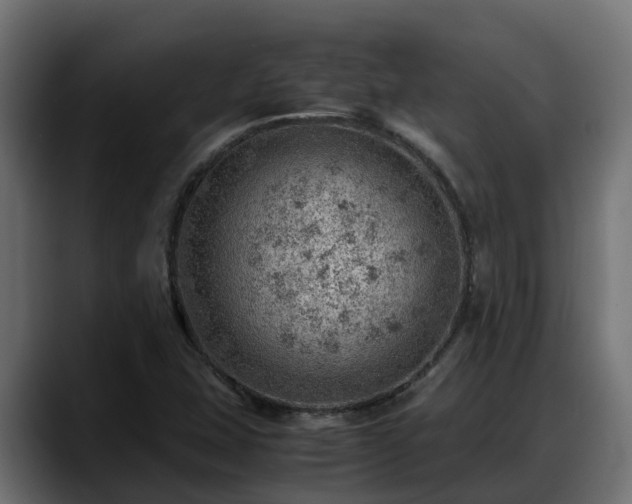 X0000088371407200705291318