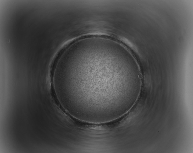 X0000088371408200705291318