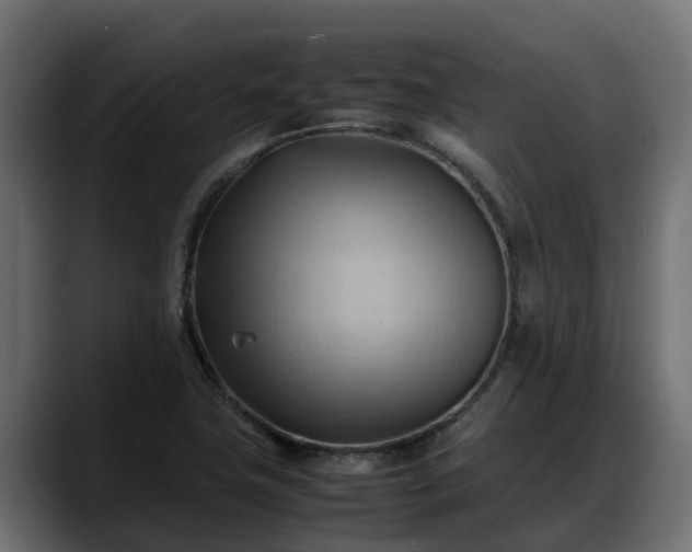 X0000088371411200705291318