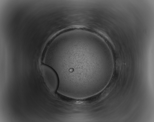 X0000088371412200705291318