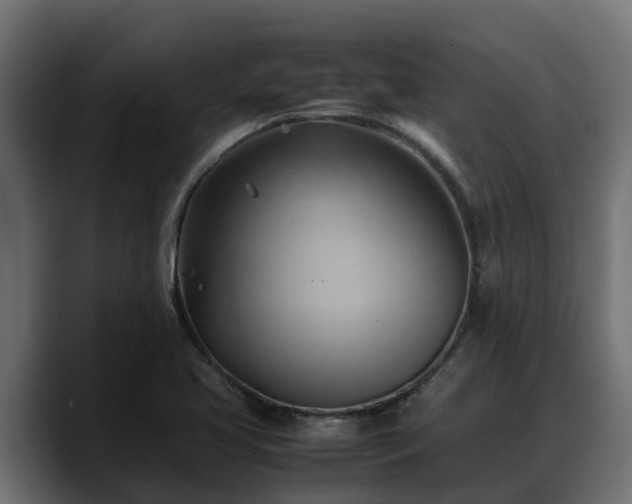 X0000088371413200705291318