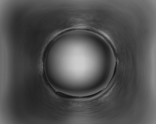 X0000088371414200705291318