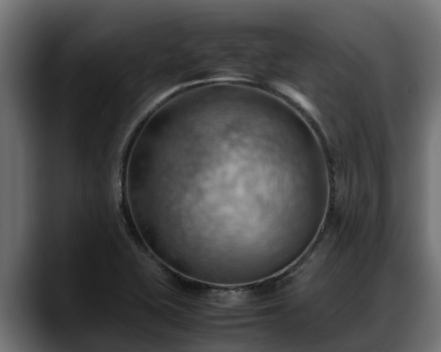 X0000088371415200705291318