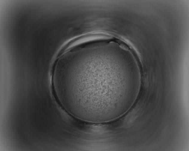 X0000088371416200705291318