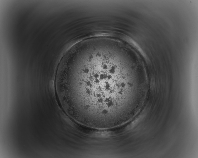 X0000088371417200705291318