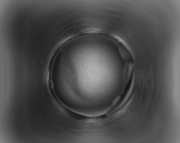 X0000088371418200705291318
