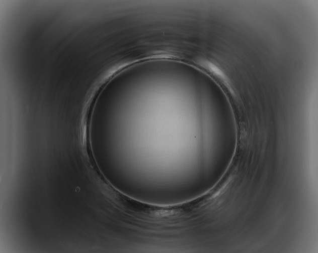 X0000088371419200705291318