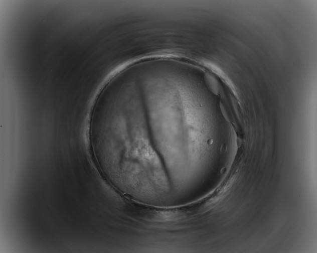 X0000088371421200705291318