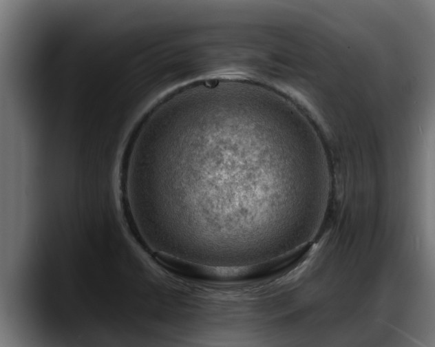X0000088371422200705291318