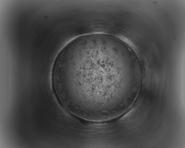 X0000088371423200705291318