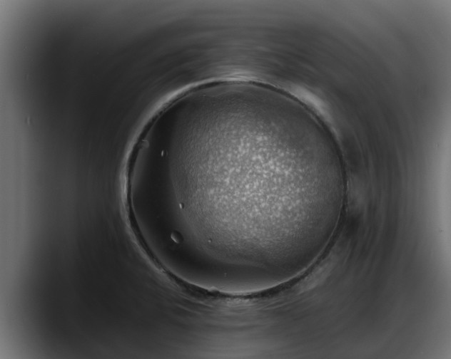 X0000088371424200705291318