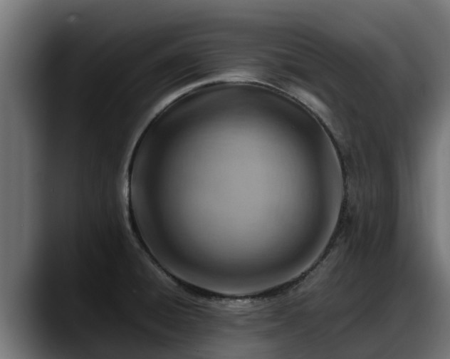 X0000088371428200705291318