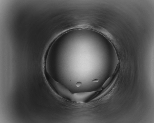 X0000088371430200705291318