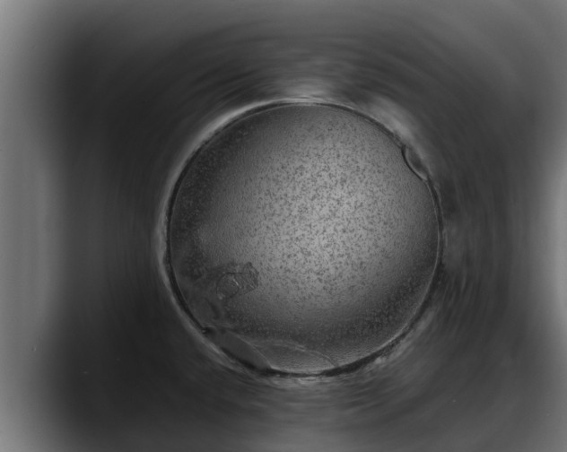 X0000088371432200705291318