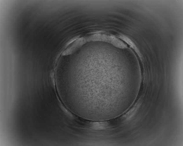 X0000088371433200705291318