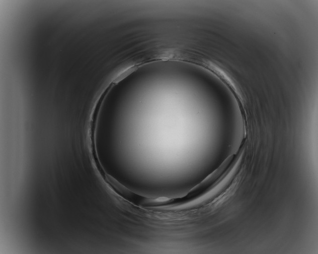 X0000088371434200705291318