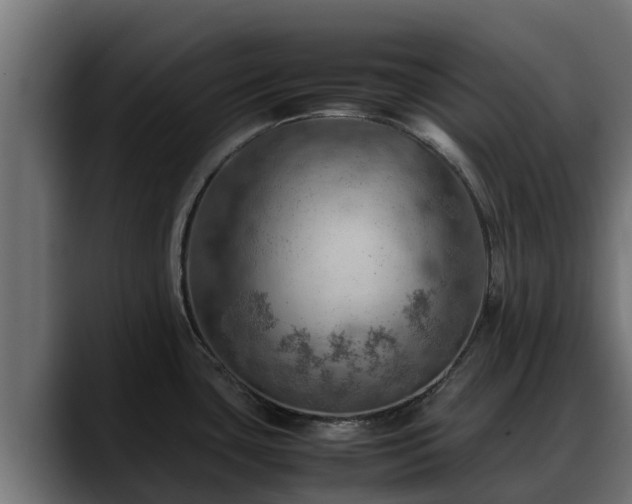 X0000088371435200705291318