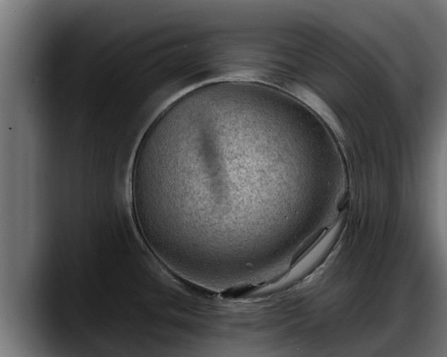 X0000088371436200705291318