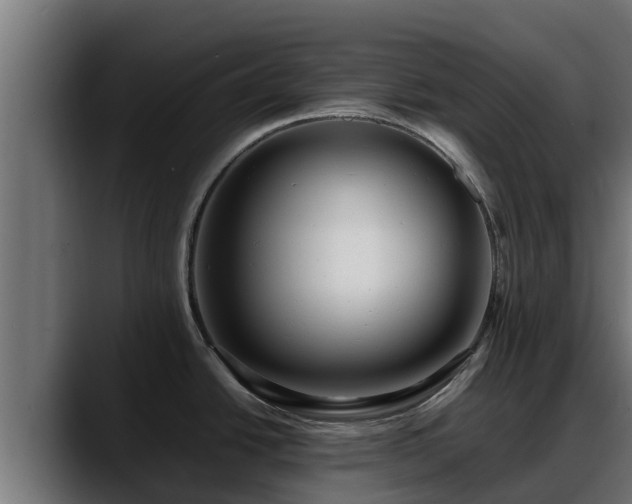 X0000088371438200705291318