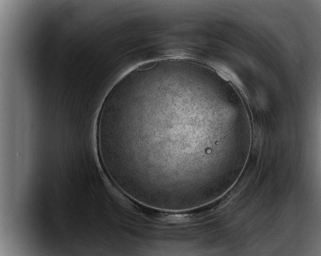 X0000088371439200705291318