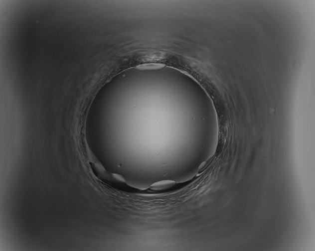 X0000088371441200705291318