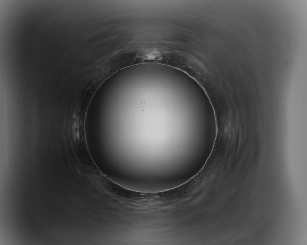 X0000088371442200705291318