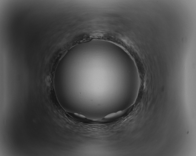 X0000088371445200705291318