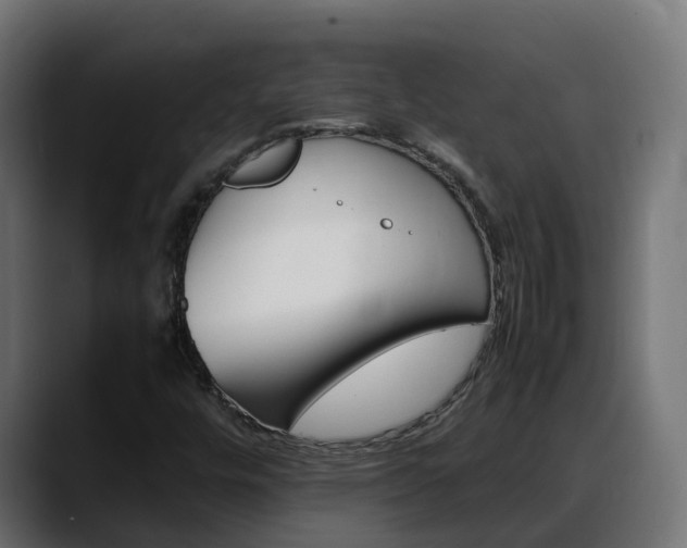 X0000088371448200705291318
