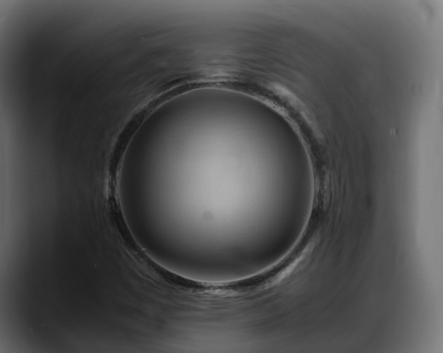 X0000088371449200705291318