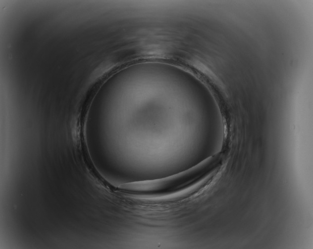 X0000088371450200705291318