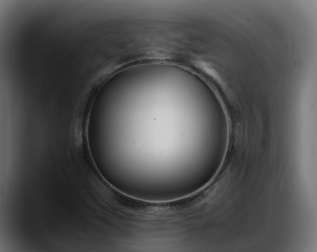 X0000088371451200705291318