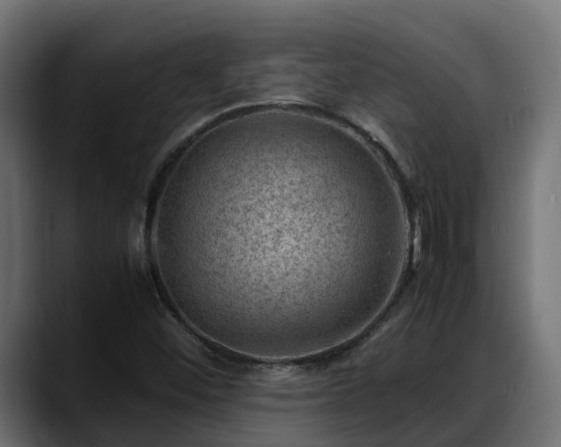 X0000088371452200705291318