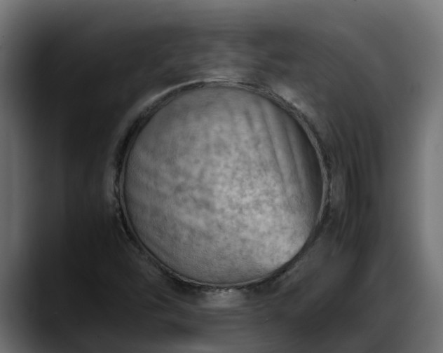 X0000088371454200705291318