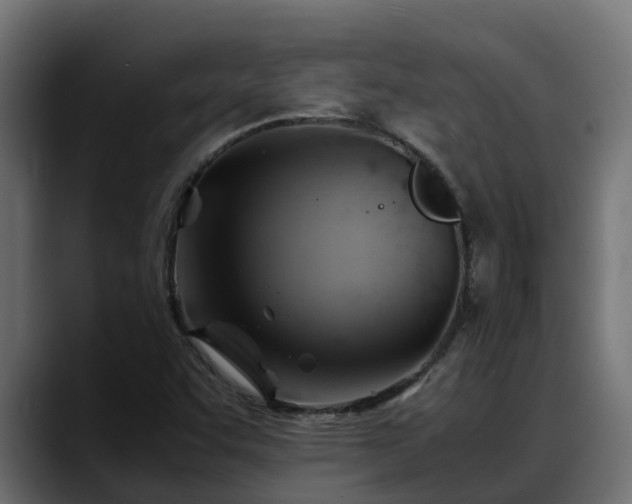 X0000088371455200705291318