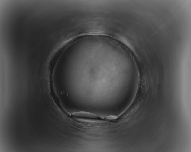 X0000088371456200705291318